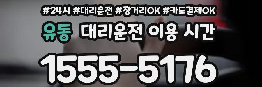 유동 대리운전 이용 시간