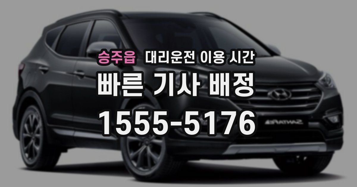승주읍 대리운전 이용 시간