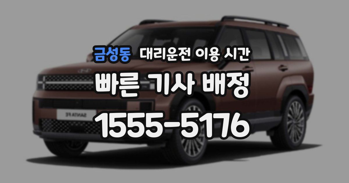 금성동 대리운전 이용 시간