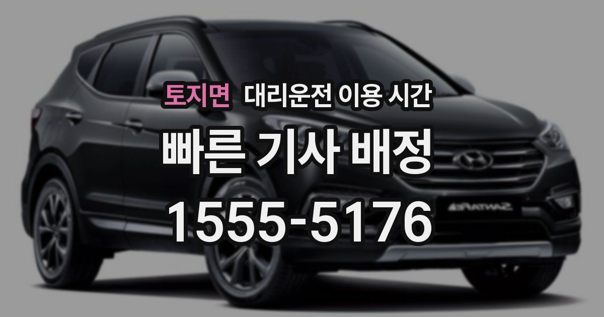 토지면 대리운전 이용 시간