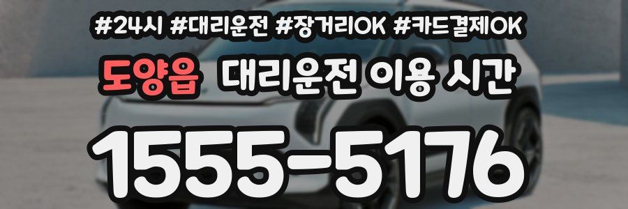 도양읍 대리운전 이용 시간