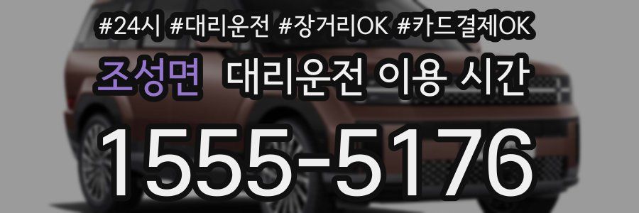 조성면 대리운전 이용 시간