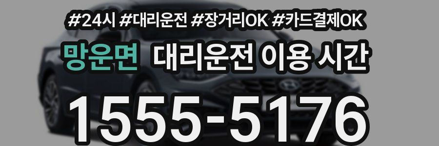망운면 대리운전 이용 시간