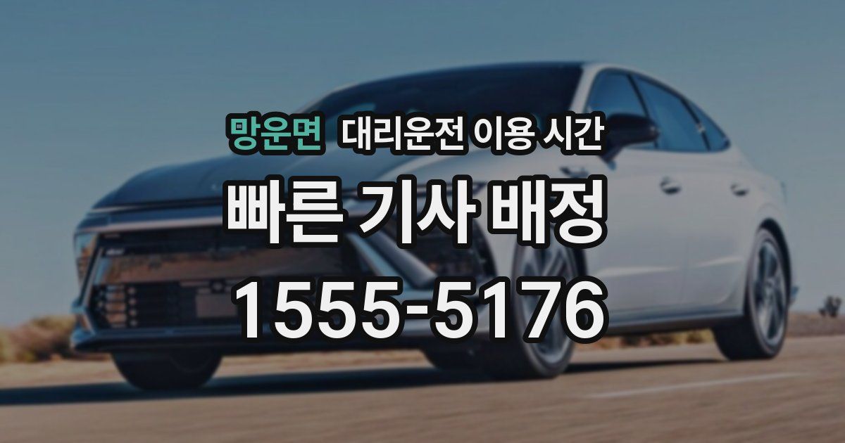 망운면 대리운전 이용 시간