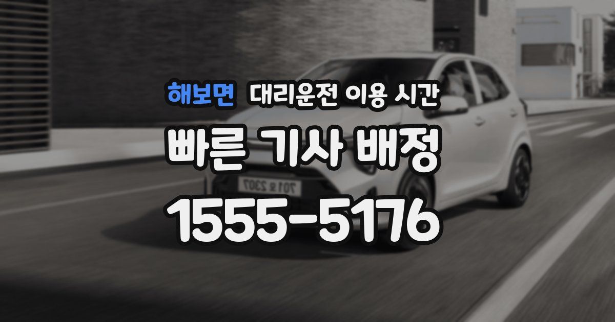 해보면 대리운전 이용 시간