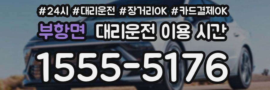 부항면 대리운전 이용 시간