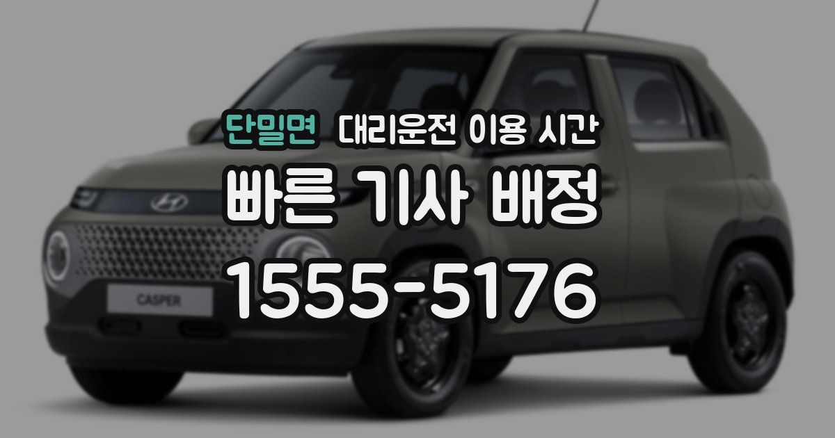 단밀면 대리운전 이용 시간