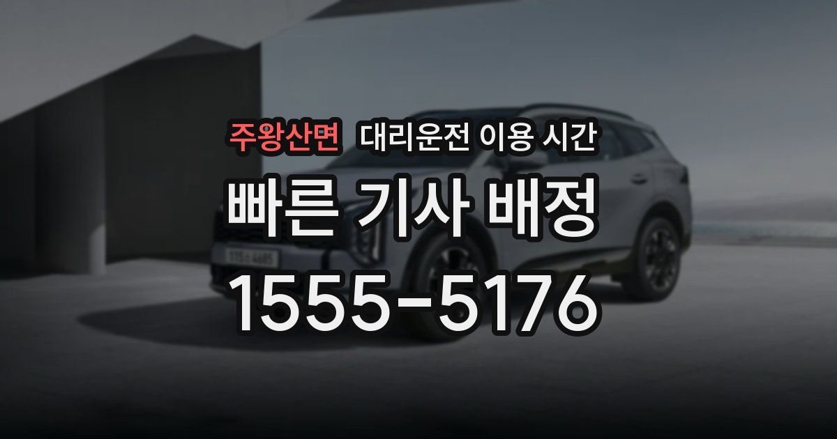 주왕산면 대리운전 이용 시간