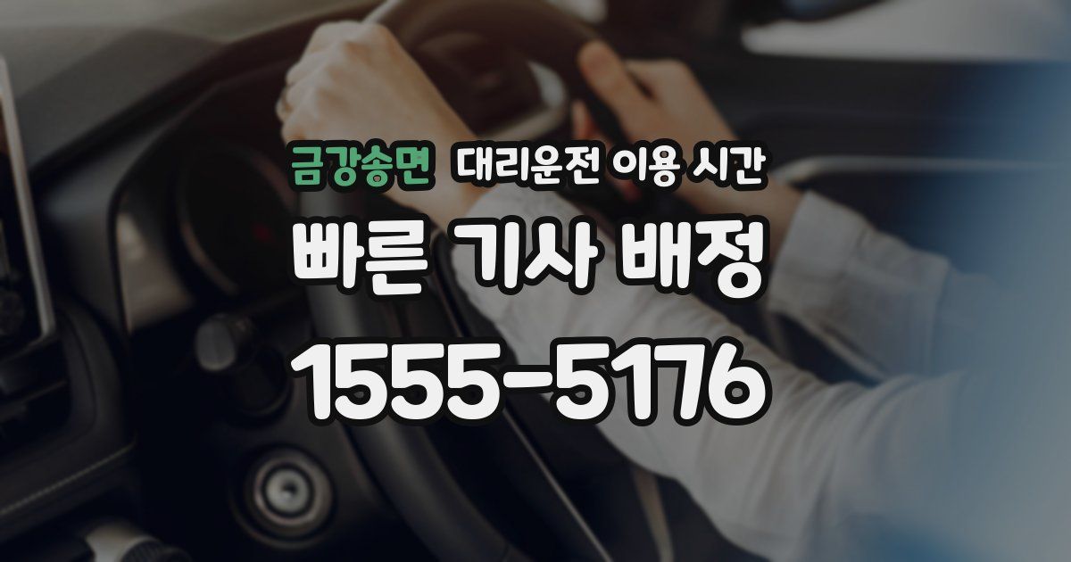 금강송면 대리운전 이용 시간