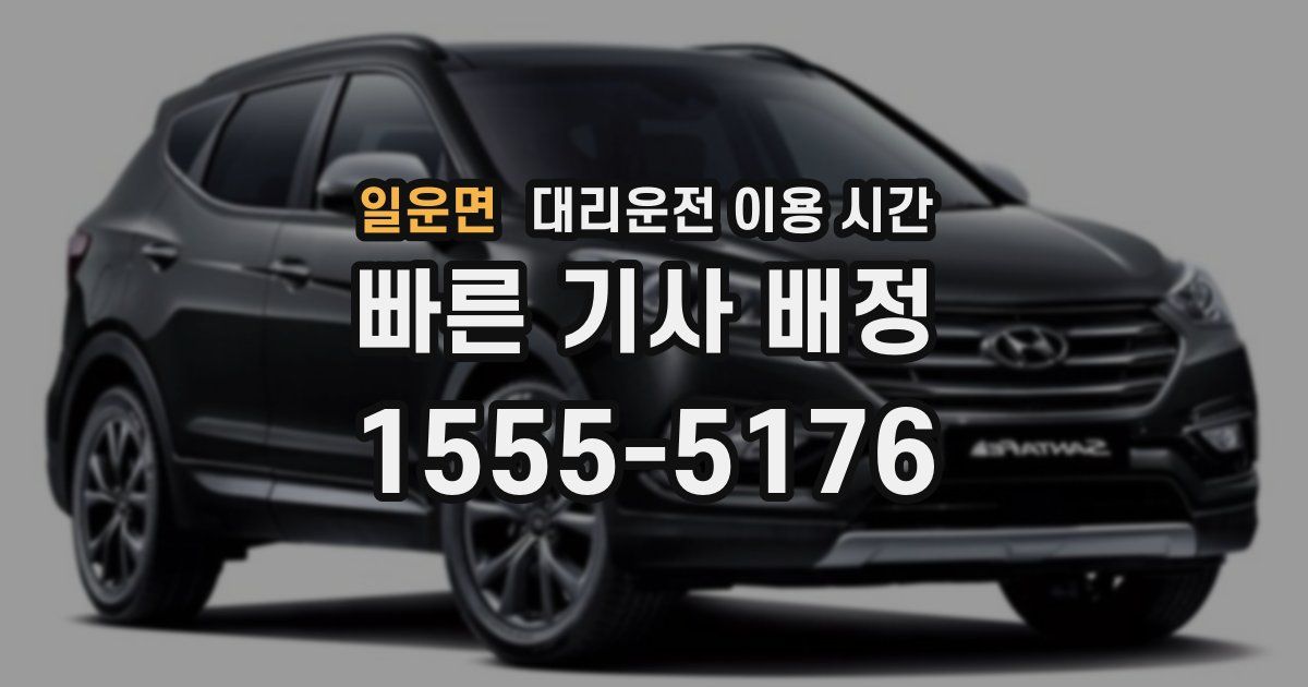 일운면 대리운전 이용 시간