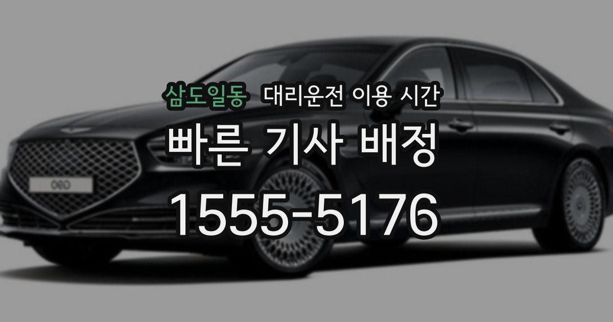 삼도일동 대리운전 이용 시간