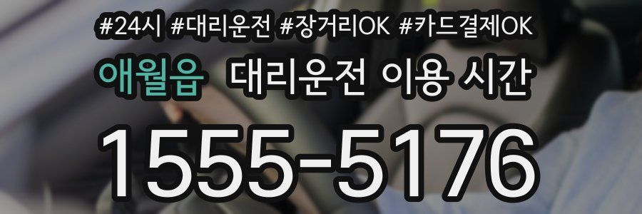 애월읍 대리운전 이용 시간