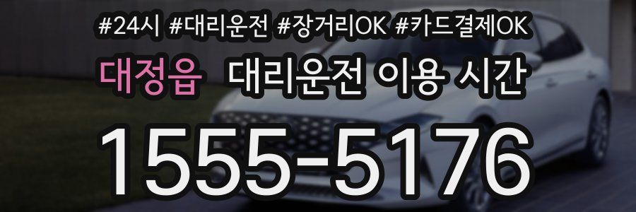 대정읍 대리운전 이용 시간