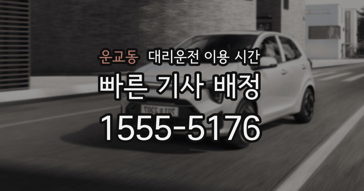 운교동 대리운전 이용 시간