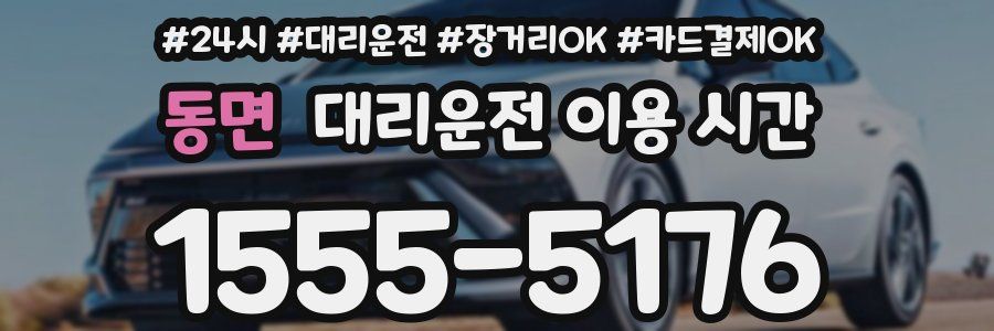동면 대리운전 이용 시간