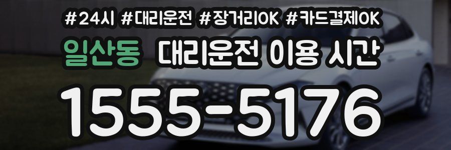 일산동 대리운전 이용 시간