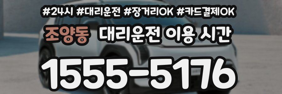 조양동 대리운전 이용 시간