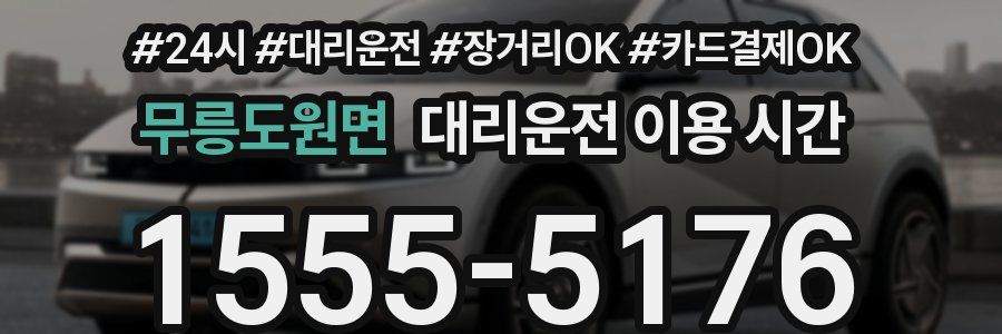 무릉도원면 대리운전 이용 시간