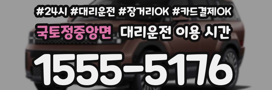국토정중앙면 대리운전 이용 시간