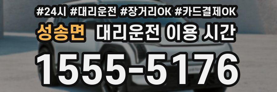 성송면 대리운전 이용 시간
