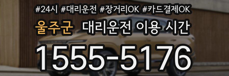 울주군 대리운전 이용 시간