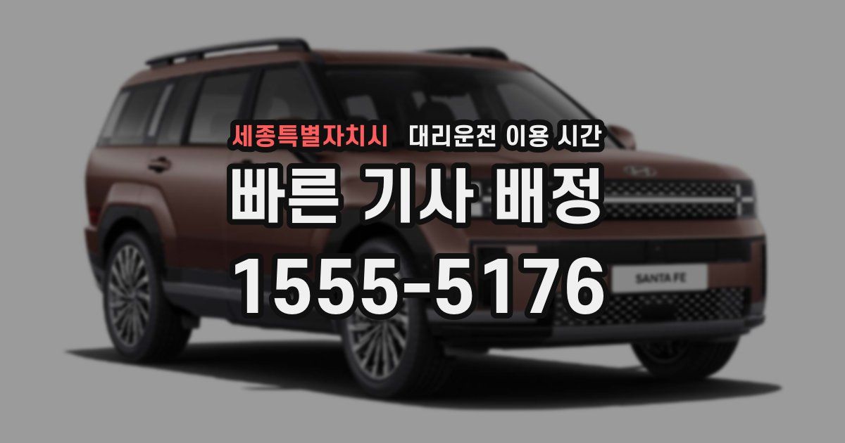 세종특별자치시 대리운전 이용 시간