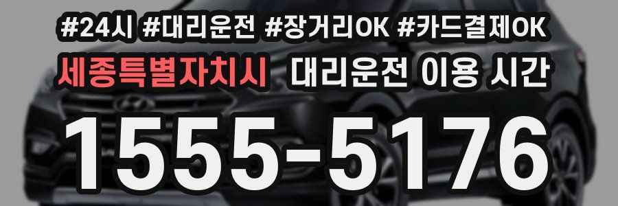 세종특별자치시 대리운전 이용 시간
