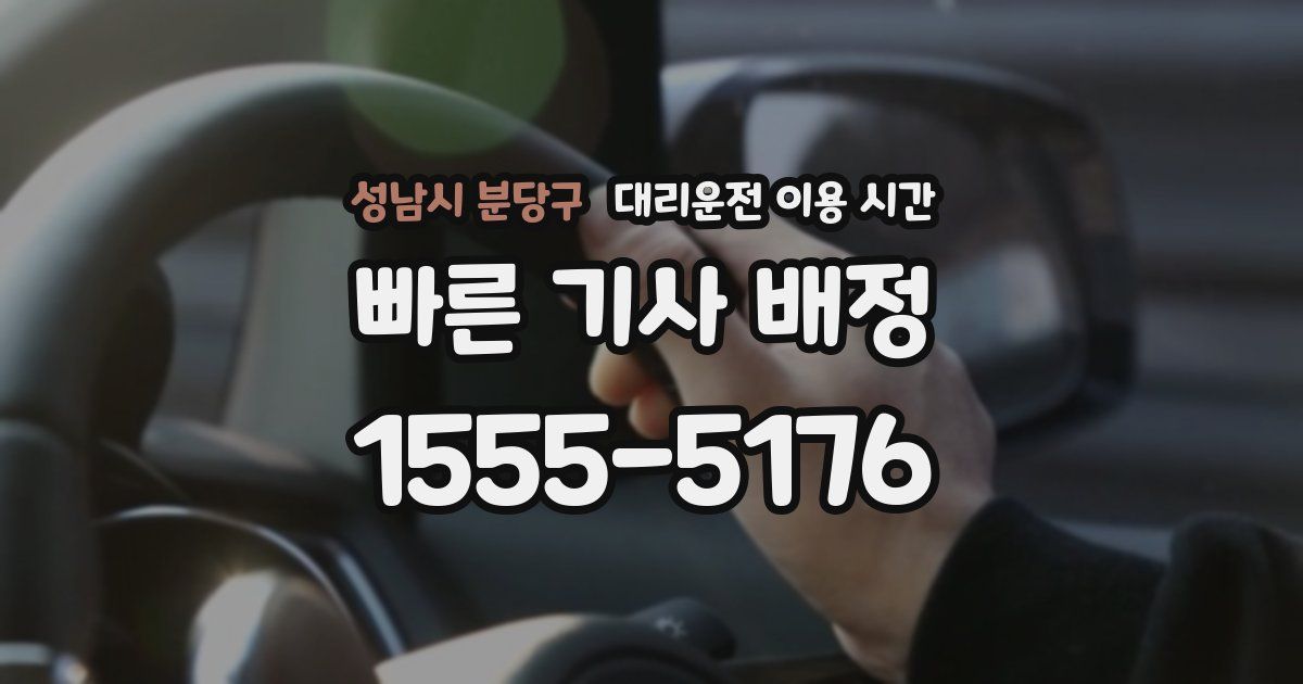 성남시 분당구 대리운전 이용 시간
