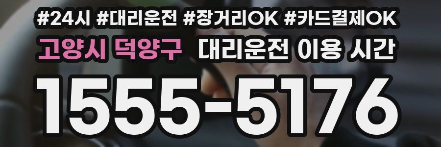 고양시 덕양구 대리운전 이용 시간