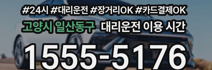 고양시 일산동구 대리운전 이용 시간