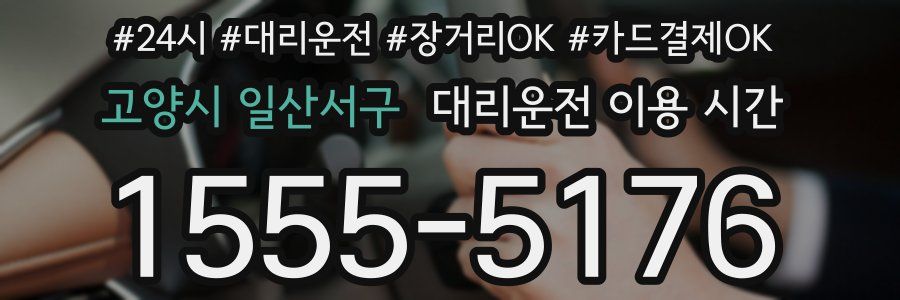 고양시 일산서구 대리운전 이용 시간
