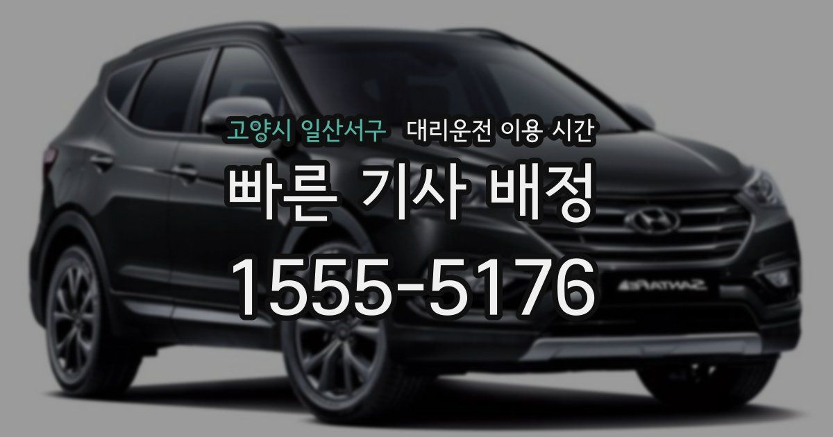 고양시 일산서구 대리운전 이용 시간