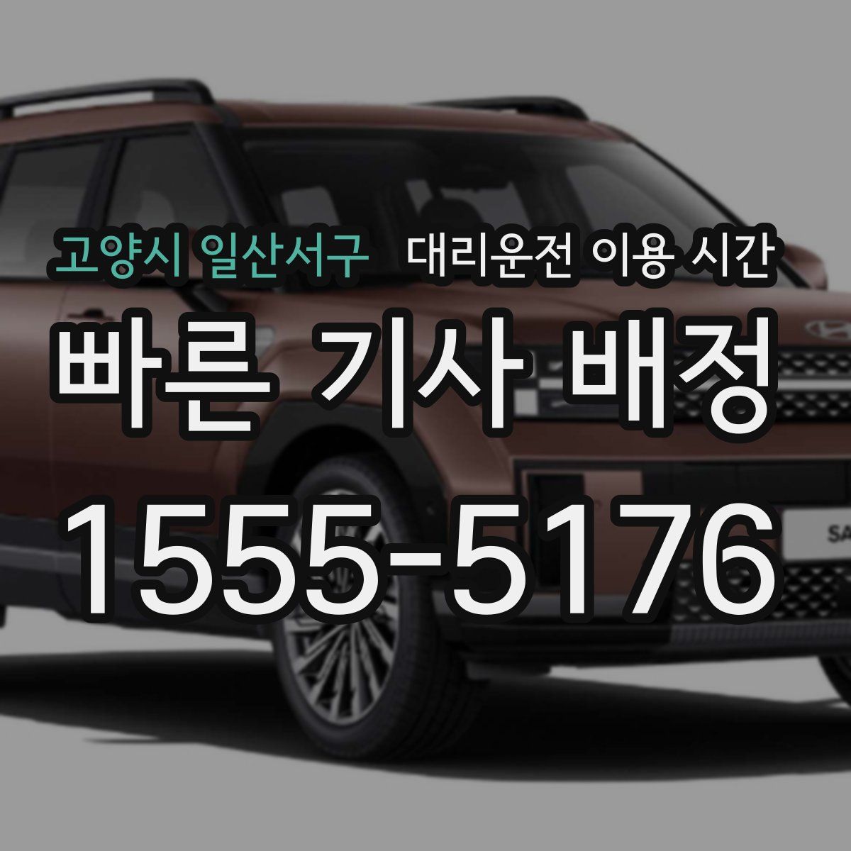 고양시 일산서구 대리운전 이용 시간