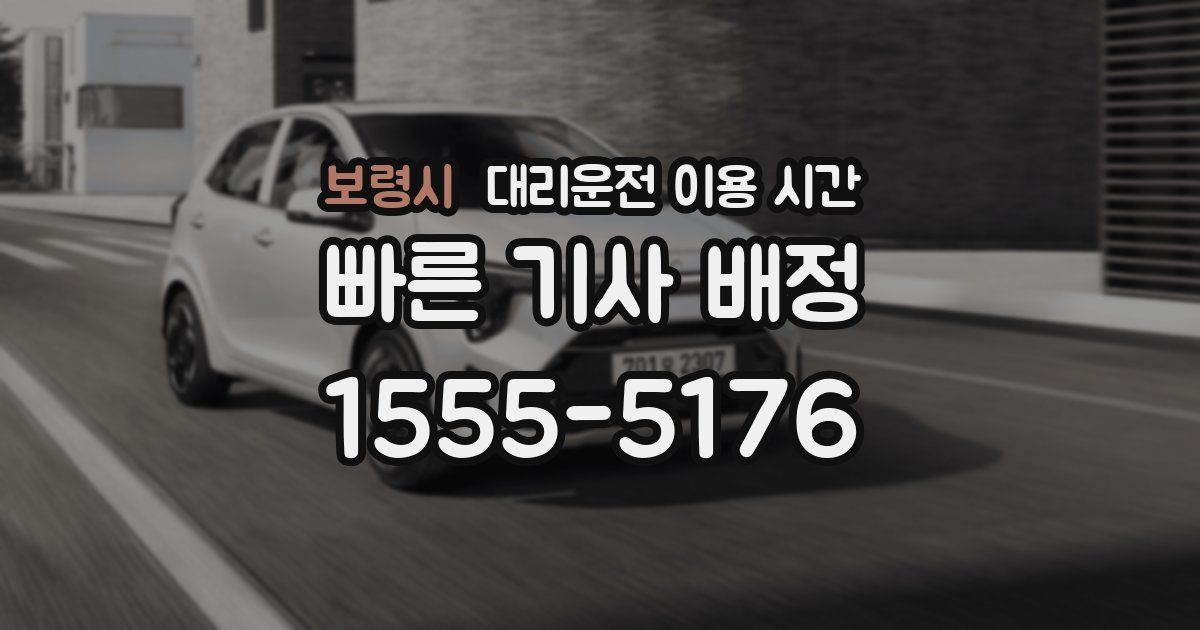 보령시 대리운전 이용 시간