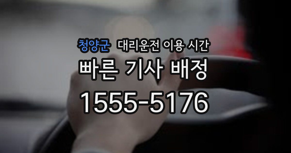 청양군 대리운전 이용 시간