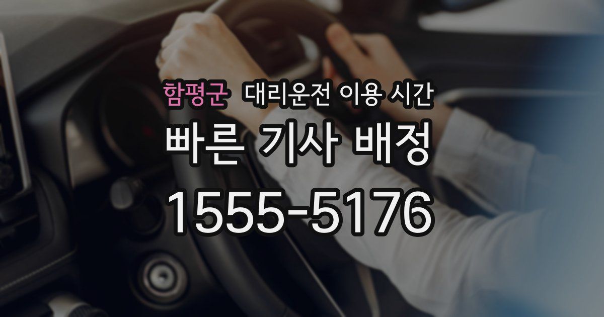 함평군 대리운전 이용 시간
