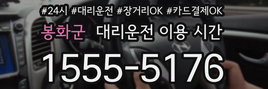 봉화군 대리운전 이용 시간