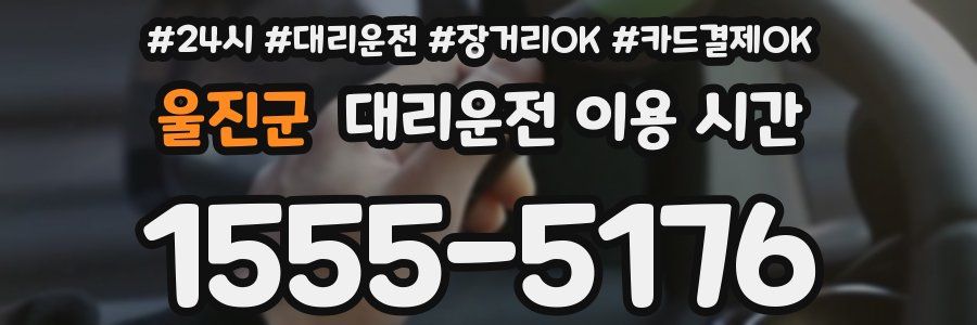 울진군 대리운전 이용 시간