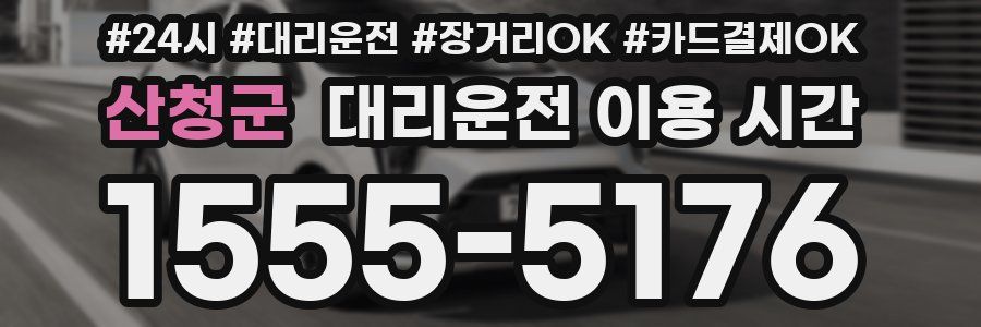 산청군 대리운전 이용 시간
