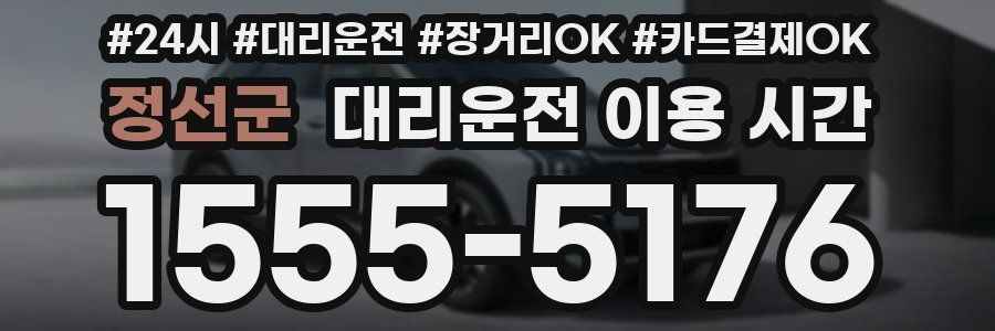 정선군 대리운전 이용 시간