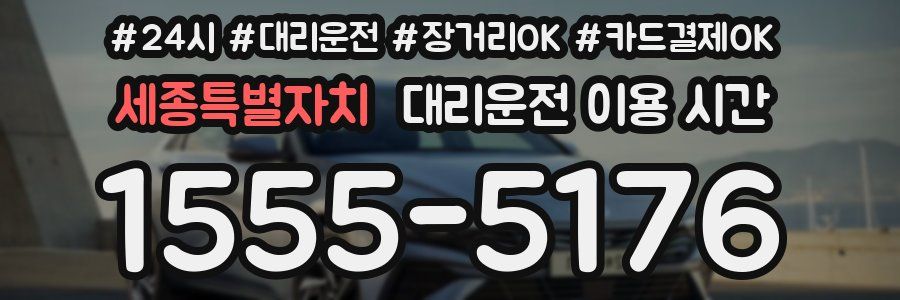 세종특별자치 대리운전 이용 시간