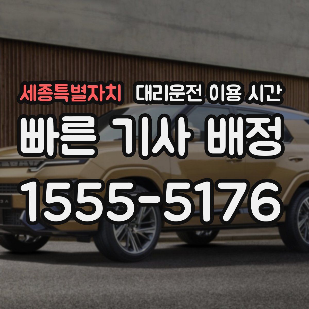 세종특별자치 대리운전 이용 시간