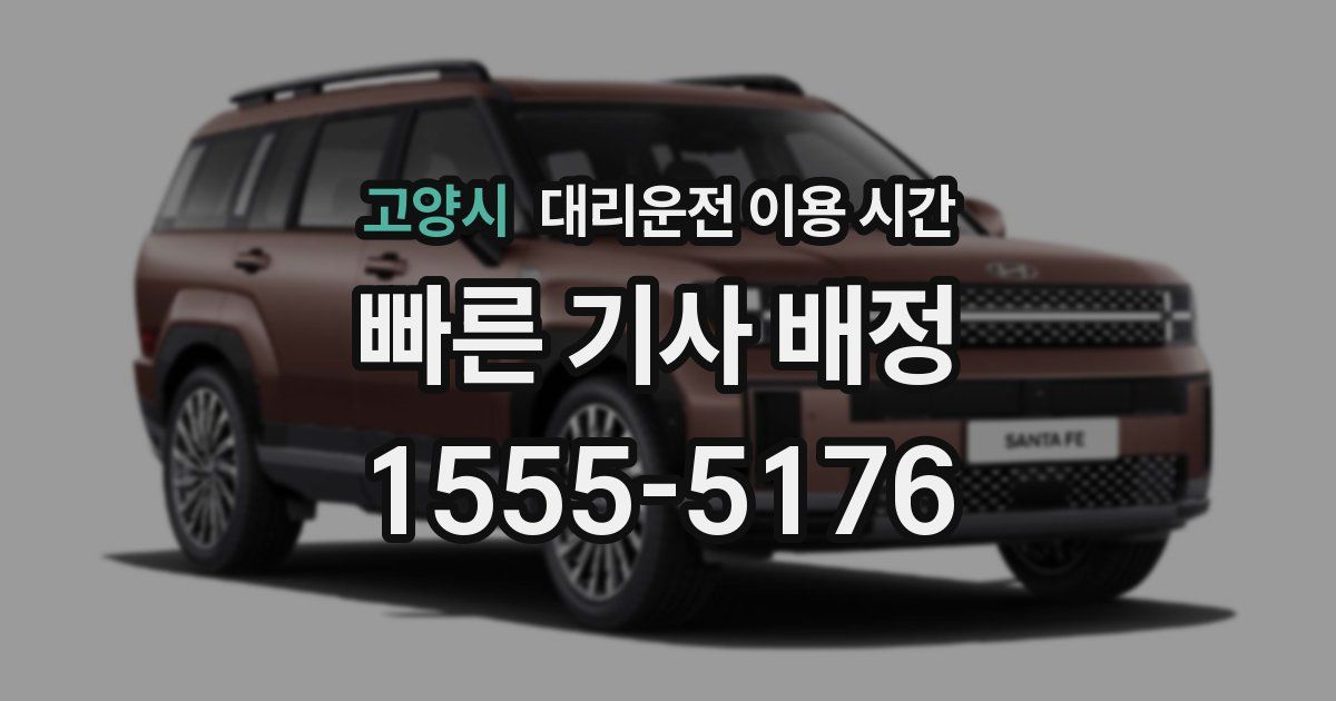 고양시 대리운전 이용 시간