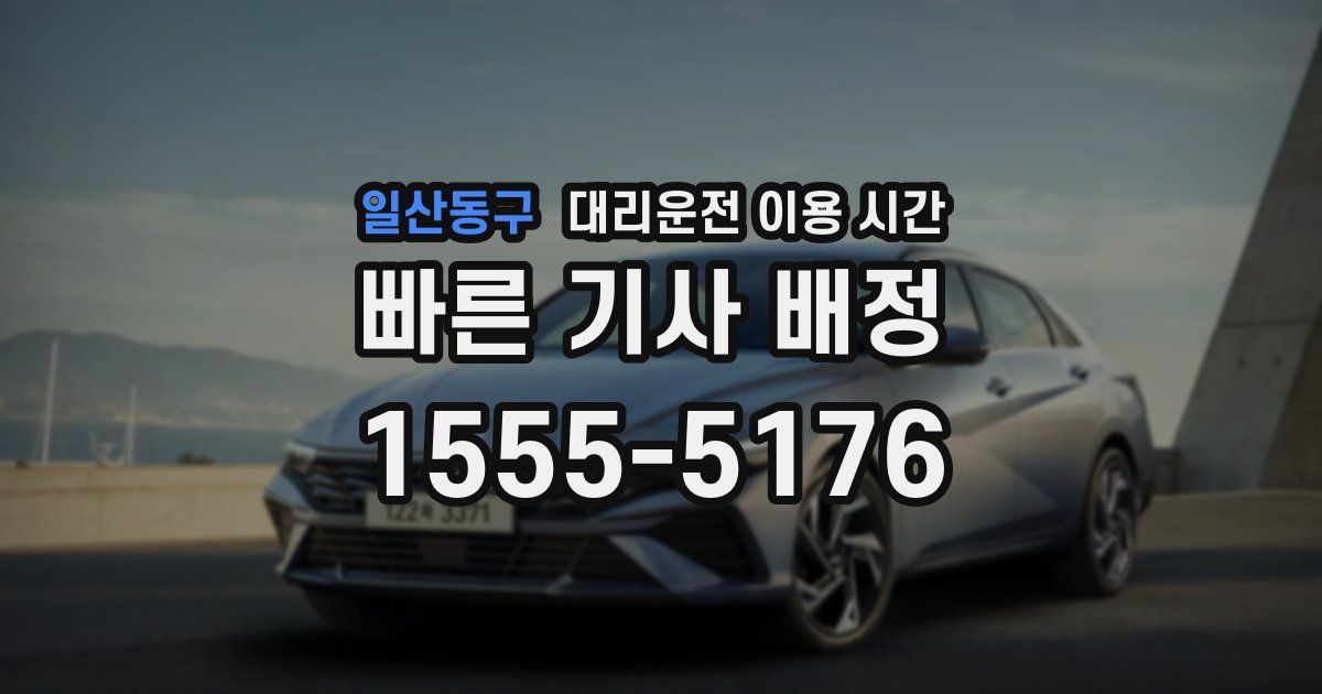 일산동구 대리운전 이용 시간