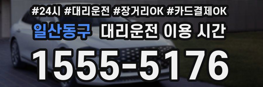 일산동구 대리운전 이용 시간