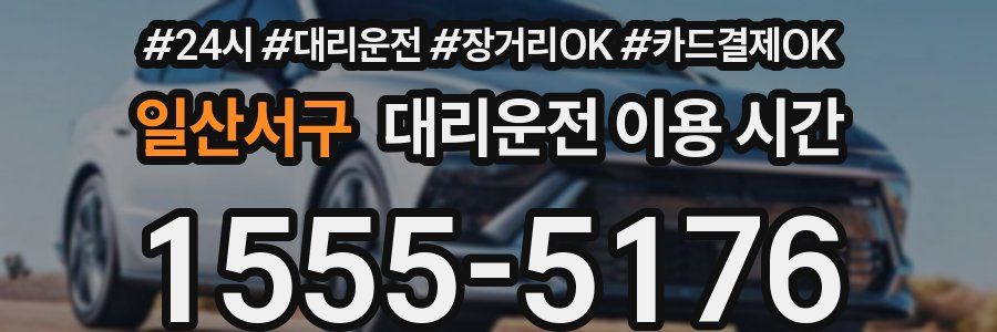 일산서구 대리운전 이용 시간