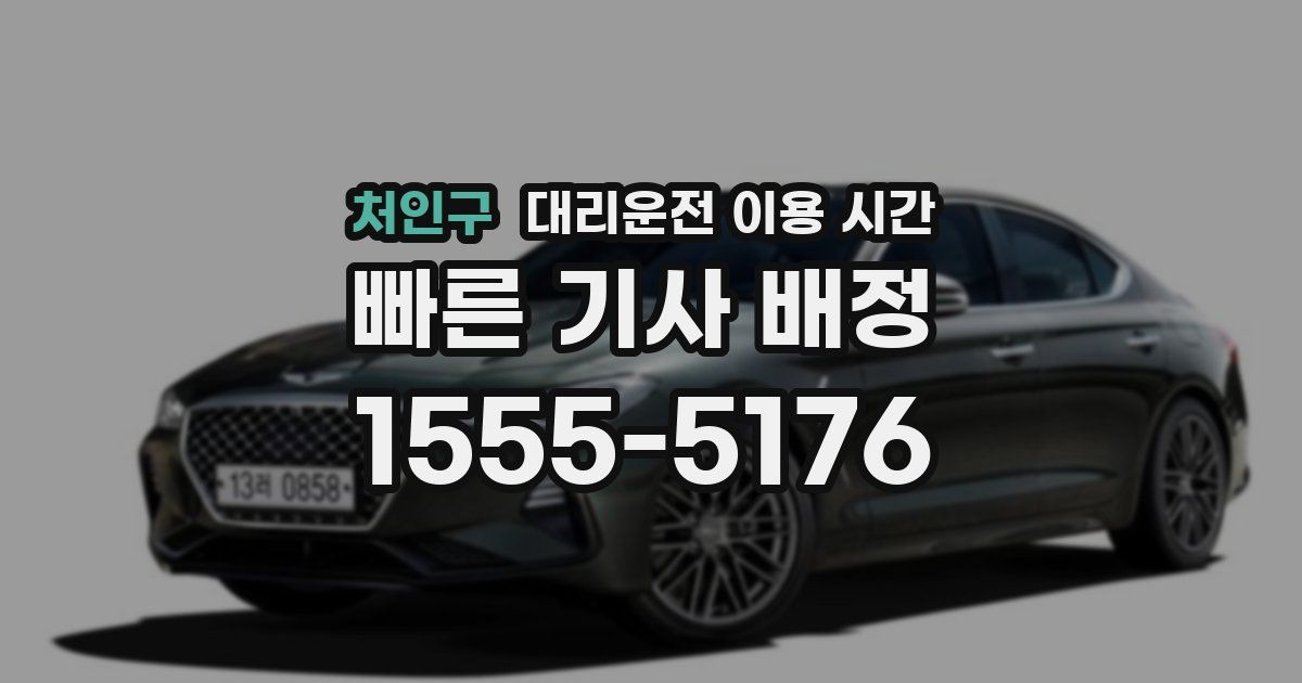 처인구 대리운전 이용 시간