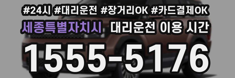 세종특별자치시 대리운전 이용 시간