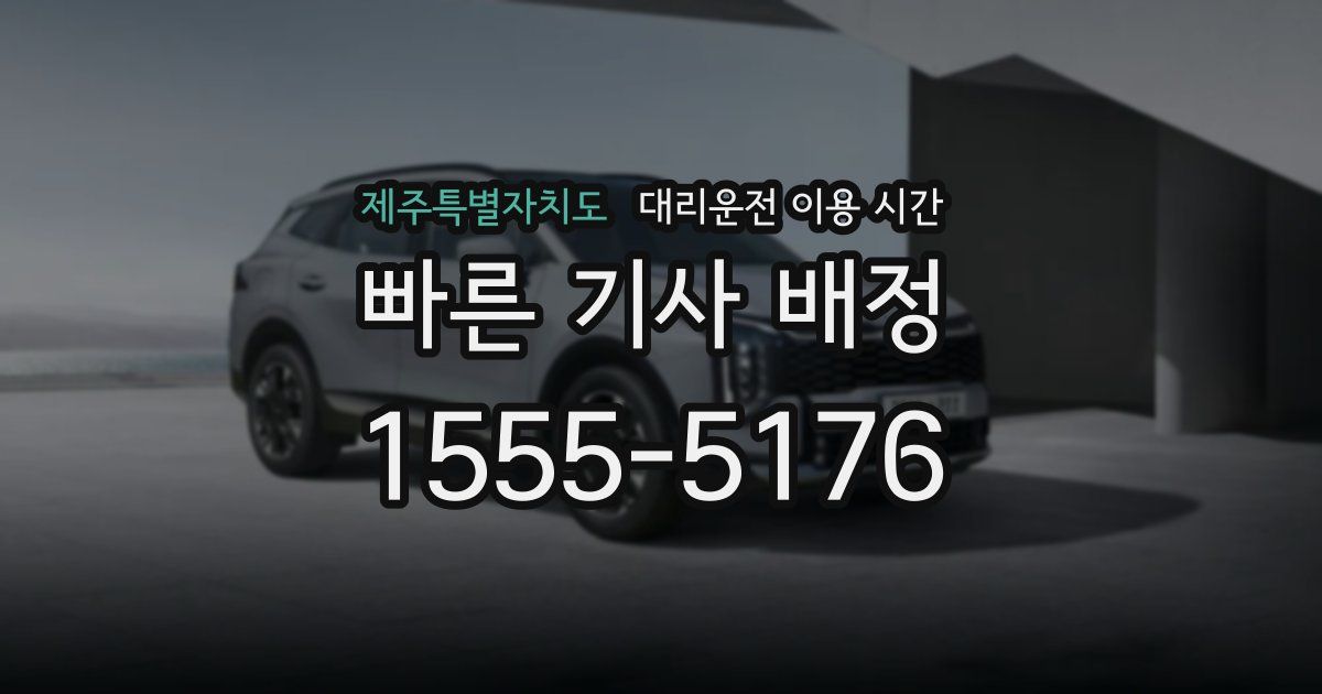 제주특별자치도 대리운전 이용 시간