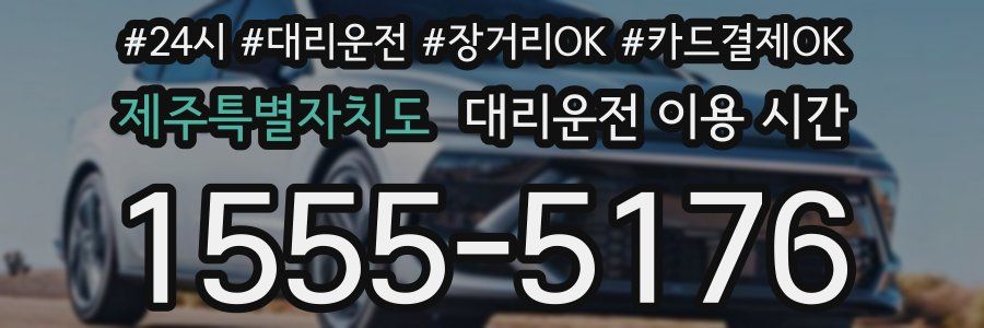 제주특별자치도 대리운전 이용 시간
